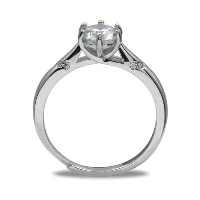 Vertical View of Whole Ring